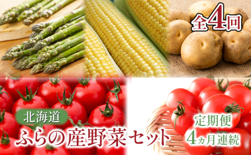 【2026年春～秋発送】北海道 定期便 4ヵ月 連続 全4回 ふらの産野菜セット富良野市 野菜 新鮮 直送 アスパラ とうもろこし ミニトマト ほれまる さくら じゃがいも 男爵 道産 ふらの 送料無料 数量限定 先着順 1859962 - 北海道富良野市