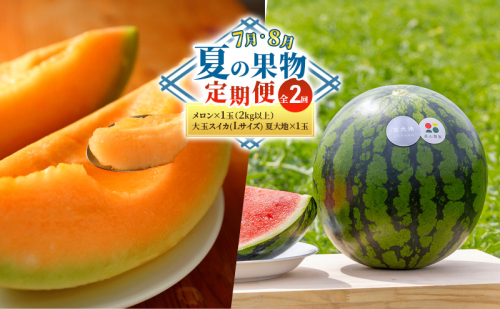 【7・8月 夏の果物 定期便 全2回】メロン×1玉 約2kg 大玉スイカ(Lサイズ) 夏大地×1玉 北海道 富良野産 すいか 西瓜 メロン 夏 フルーツ ふらの 甘い 糖度 大玉 ギフト (畠山農園） 1859966 - 北海道富良野市