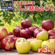 【A-053】季節のりんご詰め合わせ3kg【2022年10月から順次発送】