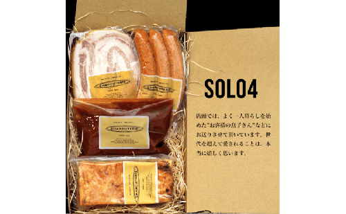 Solo4 ラザニア 煮込みハンバーグ ポルケッタ ポークウィンナー 肉 愛知 日進市 ※配送不可：離島 1860028 - 愛知県日進市