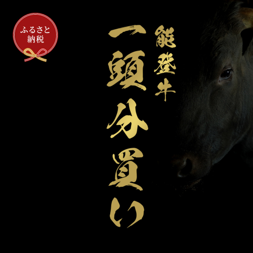 肉 【和牛セレブ】能登牛 一頭買い（一括配送）22個口 黒毛和牛 霜降り ギフト 石川県 能美市 1860458 - 石川県能美市