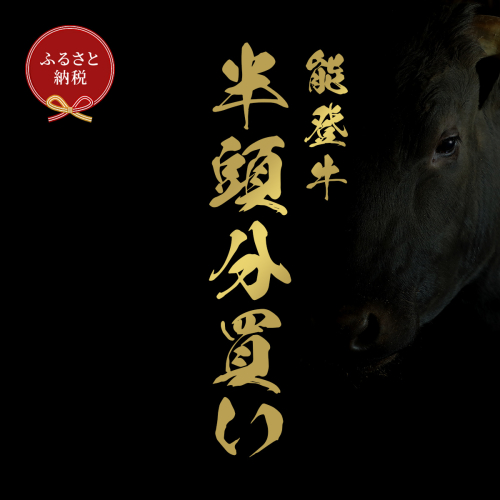 肉【和牛セレブ】能登牛 半頭買い（12分割配送）黒毛和牛 霜降り ギフト 石川県 能美市 1860512 - 石川県能美市