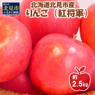 【予約：2023年10月下旬から順次発送】北海道北見市産りんご 紅将軍 約2.5kg ( りんご リンゴ 林檎 果物 フルーツ 期間限定 )【A1-055-2023】