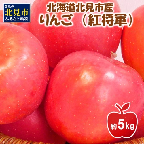 【A8-008】北海道北見市産りんご（紅将軍）約5kg【2022年10月下旬から順次発送】