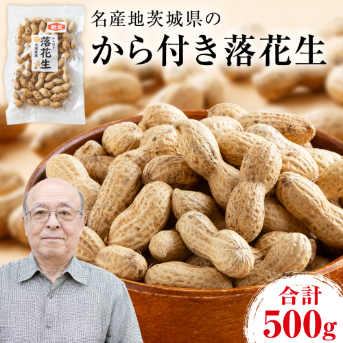 から付き落花生 500g （250g×2袋） 煎りざや落花生 おつまみ おやつ ピーナッツ 殻付き ナカテユタカ [EH21-NT] 1861196 - 茨城県つくばみらい市
