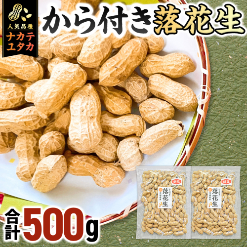 から付き落花生 500g （250g×2袋） 煎りざや落花生 おつまみ おやつ ピーナッツ 殻付き ナカテユタカ [EH21-NT] 1861196 - 茨城県つくばみらい市