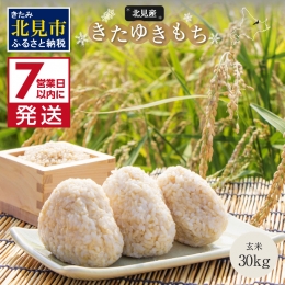 【ふるさと納税】《7営業日以内に発送》北海道産きたゆきもち 玄米 30kg ( 米 お米 モチ米 もち米 餅 赤飯 ぼたもち おはぎ 美味しい 北