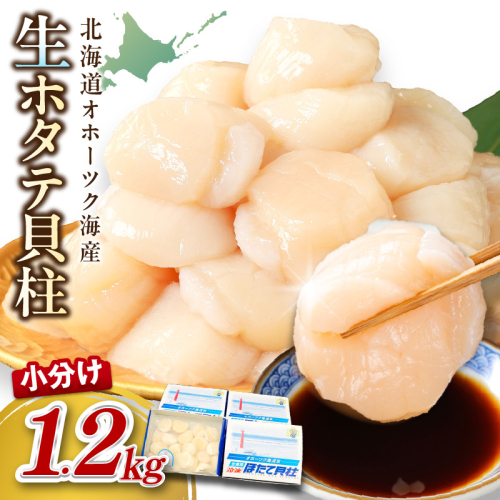 【2025年12月発送】北海道オホーツク海産 ホタテ貝柱 1.2kg 生食用 ( 海鮮 魚介 魚介類 貝 ほたて 刺身 貝柱 海鮮丼 贈答 ギフト 小分け 帆立貝柱 人気 ふるさと納税 ホタテ )【037-0014】 186232 - 北海道北見市