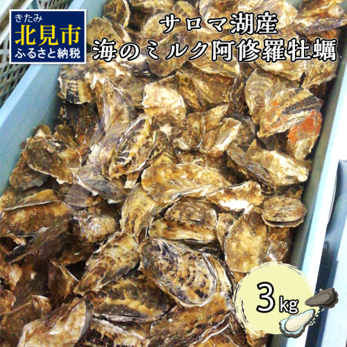 【予約：2025年10月中旬から順次発送】サロマ湖産 海のミルク 阿修羅牡蠣 3kg ( 期間限定 新鮮 生食 生ガキ カキ かき 3キロ 道産 オホーツク海産 海鮮 魚介類 貝類 生 )【031-0014】 186264 - 北海道北見市