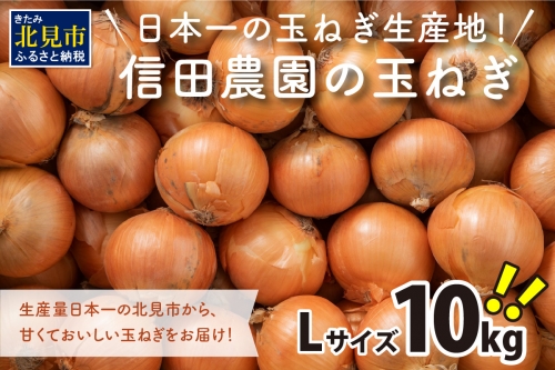【Z55-001】日本一の玉ねぎ生産地！信田農園の玉ねぎ 10kg【2022年9月中旬から順次発送】