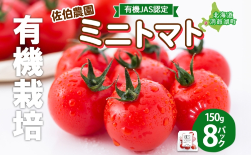 北海道 有機JAS認定 ミニトマト ダルタリー 150g×8パック 7月中旬～9月上旬頃にお届け 有機栽培 新鮮 旬 野菜 安心 安全 完熟 高糖度 濃厚 トマト 産地直送 農家直送 佐伯農園 送料無料 洞爺湖 186499 - 北海道洞爺湖町