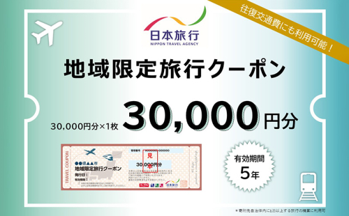 沖縄県沖縄市　日本旅行　地域限定旅行クーポン3万円分 ホテル ビーチ グルメ スパ・エステ アートギャラリー ダイビング 琉球料理 沖縄料理 音楽ライブ パワースポット巡り フォトジェニック ワーケーション ファミリー 沖縄旅行 琉球ゴールデンキングス FC琉球 エイサー 沖縄アリーナ 動物園 広島カープ 1865421 - 沖縄県沖縄市