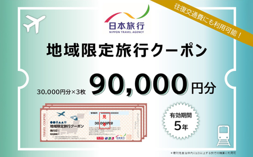 沖縄県沖縄市　日本旅行　地域限定旅行クーポン9万円分 ホテル ビーチ グルメ スパ・エステ アートギャラリー ダイビング 琉球料理 沖縄料理 音楽ライブ パワースポット巡り フォトジェニック ワーケーション ファミリー 沖縄旅行 琉球ゴールデンキングス FC琉球 エイサー 沖縄アリーナ 動物園 広島カープ 1865423 - 沖縄県沖縄市