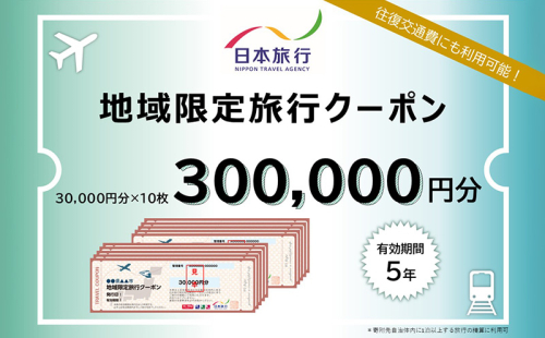 沖縄県沖縄市　日本旅行　地域限定旅行クーポン30万円分 ホテル ビーチ グルメ スパ・エステ アートギャラリー ダイビング 琉球料理 沖縄料理 音楽ライブ パワースポット巡り フォトジェニック ワーケーション ファミリー 沖縄旅行 琉球ゴールデンキングス FC琉球 エイサー 沖縄アリーナ 動物園 広島カープ 1865425 - 沖縄県沖縄市