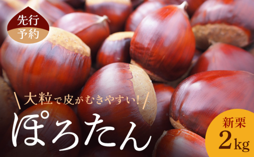 【先行予約】皮がむきやすい！新栗2kg(ぽろたん)小諸市 栗 お取り寄せ 1865595 - 長野県小諸市