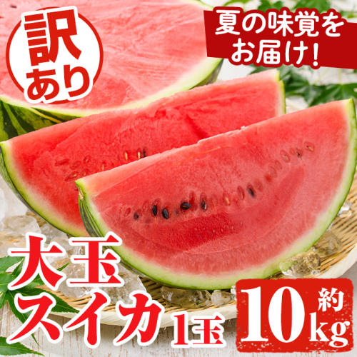 ＜先行予約受付中！2026年6月中旬以降順次発送予定＞追記訳あり！鹿児島県産 大玉スイカ(1玉・約10kg) 国産 果物 スイカ すいか 西瓜 フルーツ スイーツ スムージー ジュース【松永青果】akn053-21 1866559 - 鹿児島県阿久根市