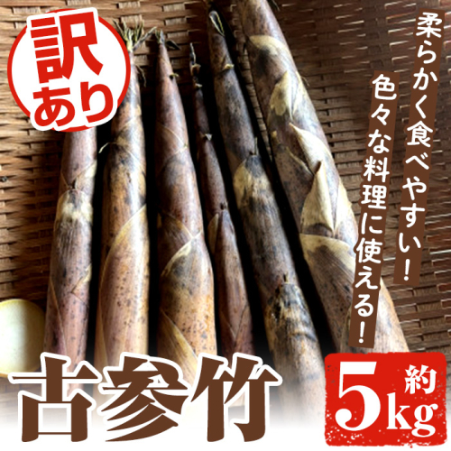 ＜先行予約受付中！2026年4月下旬以降順次発送予定＞訳あり！古参竹(約5kg) 鹿児島県 阿久根市 古参竹 こさんだけ 竹の子 タケノコ たけのこ 天ぷら 炒め物 メンマ 煮物 サイズ混合 訳アリ 野菜 青果【松永青果】akn053-22 1866760 - 鹿児島県阿久根市