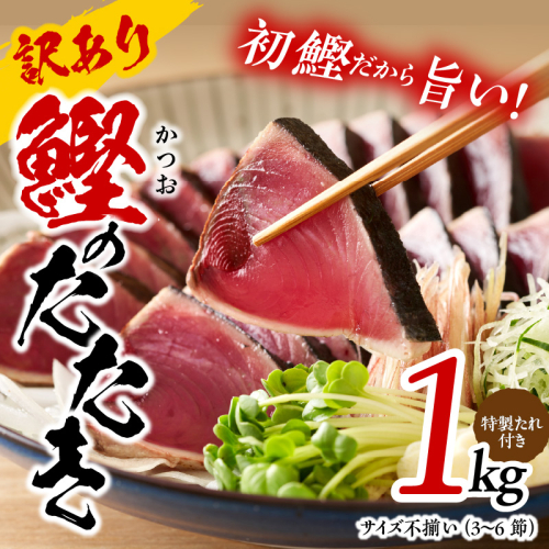 カツオたたき 1kg 初鰹 訳あり サイズ不揃い（3～6節）特製タレ付 kgp0028 186832 - 大阪府泉佐野市