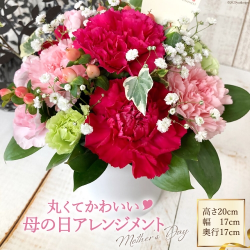 丸くてかわいいお花のアレンジメント [池川”FLOWER”生花店 北海道 砂川市 12260609] 花 花束 アレンジメント カーネーション 母の日 誕生日 プレゼント ギフト 186963 - 北海道砂川市