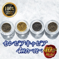 島根県産セレビアキャビア4種食べ比べセット40g(10g×4)