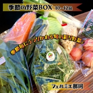 AQ-1 フェルミエ　野菜BOX１０～１２品