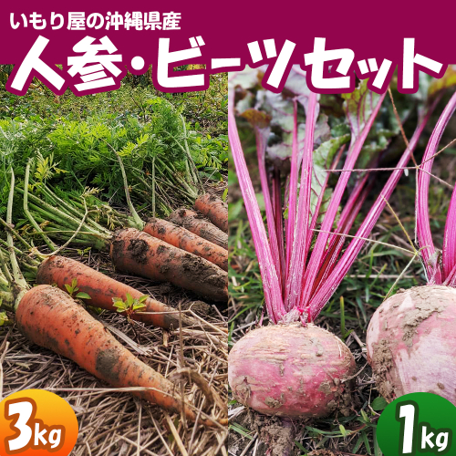 【2026年発送】いもり屋の沖縄県産　人参・ビーツセット　合計4kg 187310 - 沖縄県南風原町