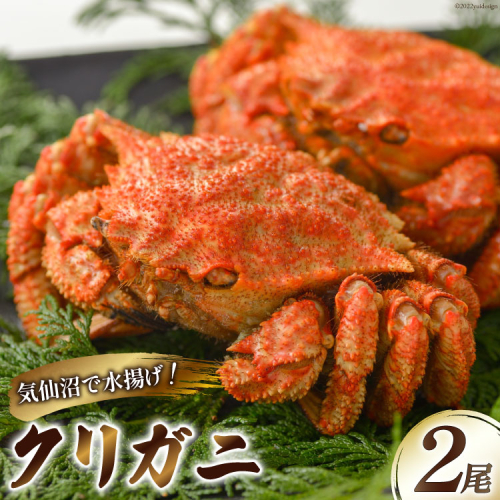 かに クリガニ ボイル 2尾 [さんりくみらい 宮城県 気仙沼市 20564239] 栗蟹 カニ 蟹 プレゼント ギフト 贈り物 お歳暮 お中元 187313 - 宮城県気仙沼市
