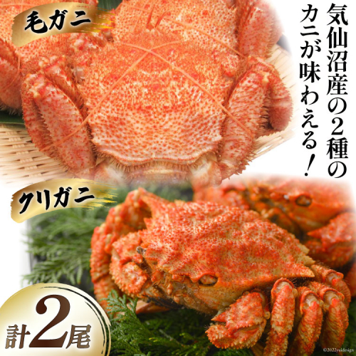 かに 毛ガニ & クリガニ 食べ比べ ボイル 各1尾 計2尾 [さんりくみらい 宮城県 気仙沼市 20564240] 魚介 魚貝 蟹 カニ 毛ガニ くりがに 濃厚 ご褒美 ごちそう 豪華 187319 - 宮城県気仙沼市