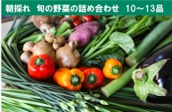 【ふるさと納税】土佐野菜の詰め合わせ
