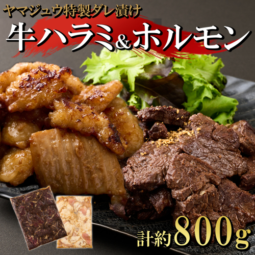 ヤマジュウの特選タレ漬け！牛ハラミ肉５００g＆国産牛ホルモン３００ｇ