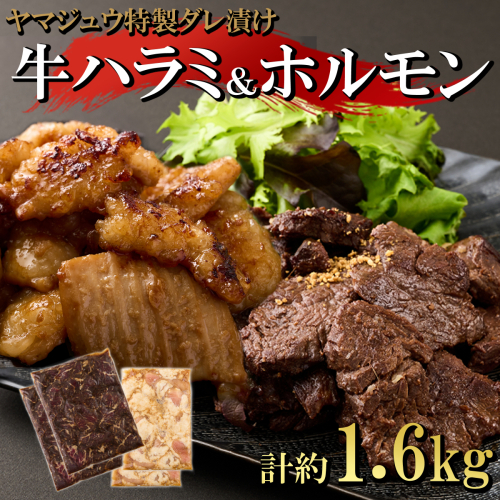 ヤマジュウの特選タレ漬け！牛ハラミ肉１ｋｇ＆国産牛ホルモン６００ｇ 187374 - 高知県室戸市