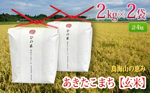 秋田県産 あきたこまち 玄米 4kg（2kg×2袋）神宿る里の米「ひの米」（お米 小分け） 187432 - 秋田県にかほ市