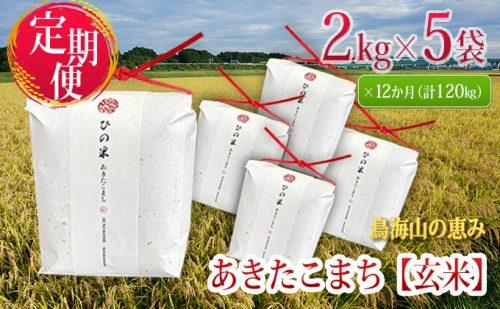 《定期便》10kg×12ヶ月 秋田県産 あきたこまち 玄米 2kg×5袋 神宿る里の米「ひの米」（お米 小分け 1年）