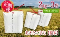 《定期便》6kg×9ヶ月 秋田県産 あきたこまち 精米 2kg×3袋 神宿る里の米「ひの米」（お米 小分け）