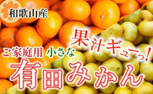 家庭用 小さな有田みかん10kg+250g（傷み補償分）［2025年10月上旬から2026年1月下旬頃順次発送予定］［IKE223］ 187496 - 和歌山県上富田町