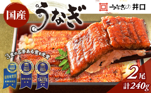 国産うなぎ 蒲焼き 2尾 (120g×2尾) 山椒 たれ セット 詰め合わせ うなぎの井口 国産ウナギ 国産 うなぎ 鰻 蒲焼き うなぎの蒲焼 鰻の蒲焼き 小分け おすすめ 贈答用 ギフト 冷蔵 静岡 静岡県 浜松市 【配送不可：離島】 18763 - 静岡県浜松市