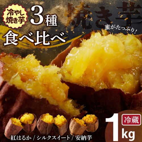 焼き芋 蜜たっぷり！冷やし焼き芋 ひえひえ君 3種食べ比べ 約1kg 芋スイーツ　H047-034 187944 - 愛知県碧南市