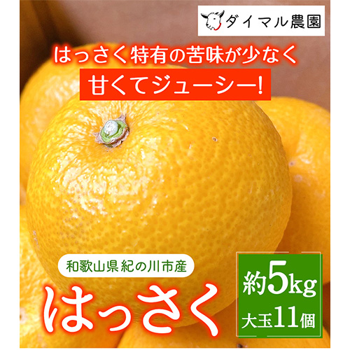 八朔 大玉11個 約5kg 柑橘 はっさく ダイマル農園 《12月中旬-1月中旬頃より順次出荷》 和歌山県 紀の川市 188059 - 和歌山県紀の川市