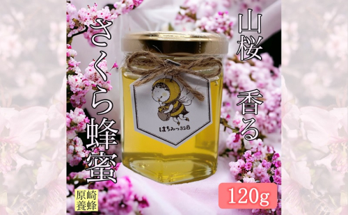 【山桜 香る】 国産 幻の山さくら 蜂蜜 120g 無添加 無着色 非加熱 安心安全 こだわり はちみつ ハチミツ ハニー 1881112 - 静岡県森町