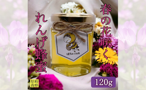 【春の花咲く】 国産 れんげ 蜂蜜 120g 無添加 無着色 非加熱 安心安全 こだわり はちみつ ハチミツ ハニー 1881113 - 静岡県森町