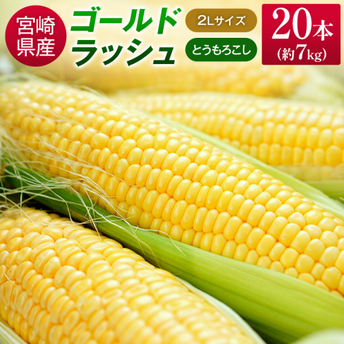 宮崎県産 ゴールドラッシュコーン 20本 約7kg とうもろこし 野菜 旬 国産【B426-25】 1881117 - 宮崎県新富町