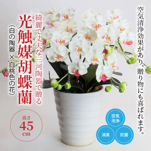 綺麗で丈夫な三河陶器で贈る 光触媒胡蝶蘭小輪３本立（白の陶器×白桃色の花）　H100-083 188118 - 愛知県碧南市