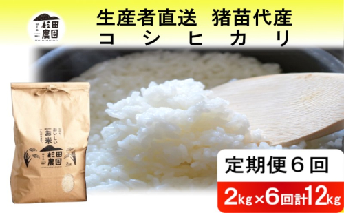 定期便 6回 米 令和6年度産 コシヒカリ 12kg(2kg×6回) 白米 精米 生産者直送 直送 1881254 - 福島県猪苗代町