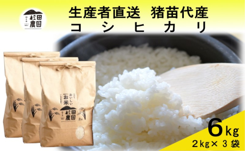 米 令和6年度産 新米 コシヒカリ 6kg(2kg×3袋) 白米 精米 生産者直送 直送 1881255 - 福島県猪苗代町