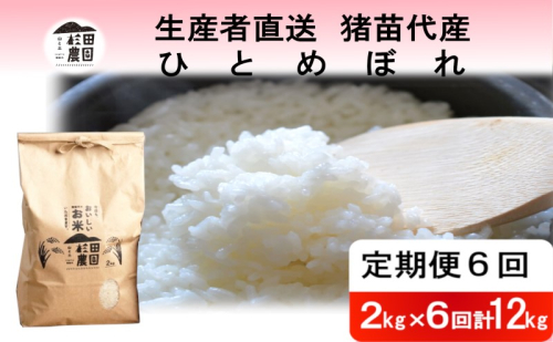 定期便 6回 米 令和6年度産 ひとめぼれ 12kg(2kg×6回) 白米 精米 生産者直送 直送 1881257 - 福島県猪苗代町