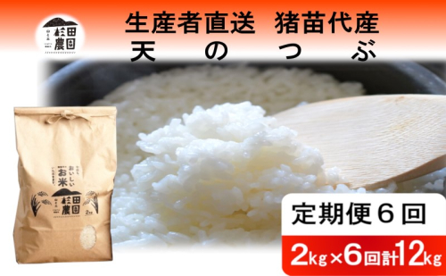 定期便 6回 米 令和6年度産 天のつぶ 12kg(2kg×6回) 白米 精米 生産者直送 直送 1881260 - 福島県猪苗代町