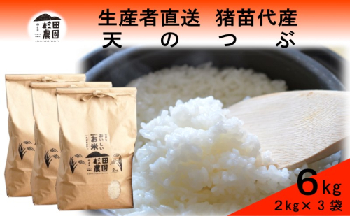 米 令和6年度産 新米 天のつぶ 6kg(2kg×3袋) 白米 精米 生産者直送 直送 1881261 - 福島県猪苗代町