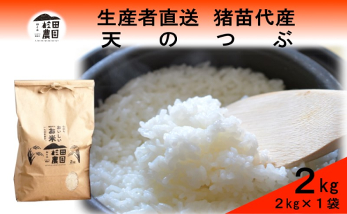 米 令和6年度産 新米 天のつぶ 2kg 白米 精米 生産者直送 直送 1881262 - 福島県猪苗代町