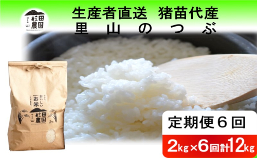 定期便 6回 米 令和6年度産 里山のつぶ 12kg(2kg×6回) 白米 精米 生産者直送 直送 1881263 - 福島県猪苗代町