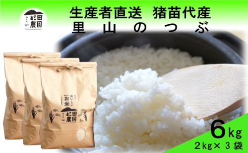 米 令和6年度産 新米 里山のつぶ 6kg(2kg×3袋) 白米 精米 生産者直送 直送 1881264 - 福島県猪苗代町